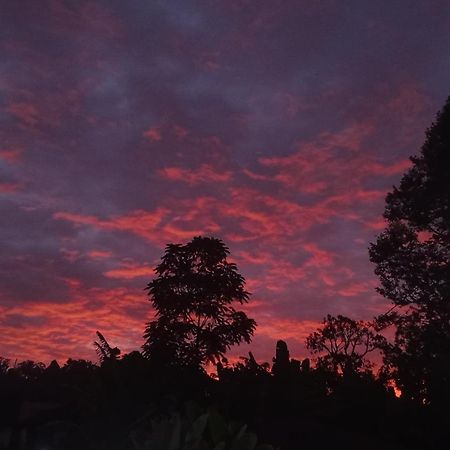 Tapian Ratu Camp Real Bukittinggi Buitenkant foto